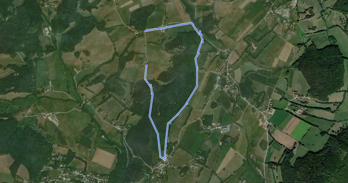 Маршрут Tamberg Rundwanderweg (Hafnerberg) на спутниковом снимке