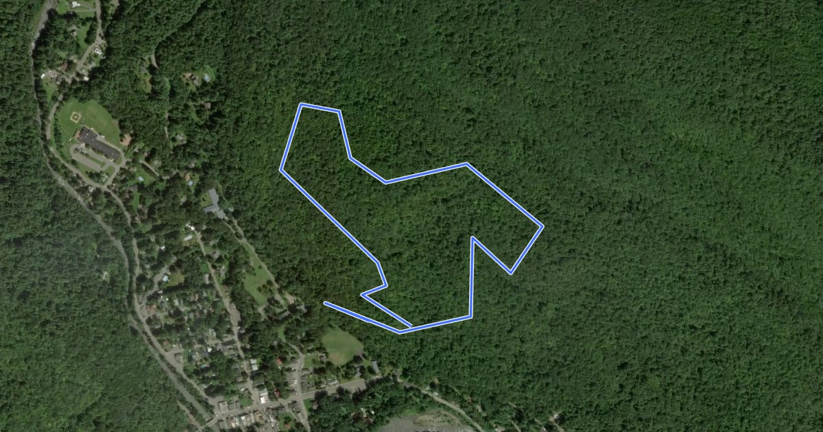 Маршрут Tanbark Trail на спутниковом снимке