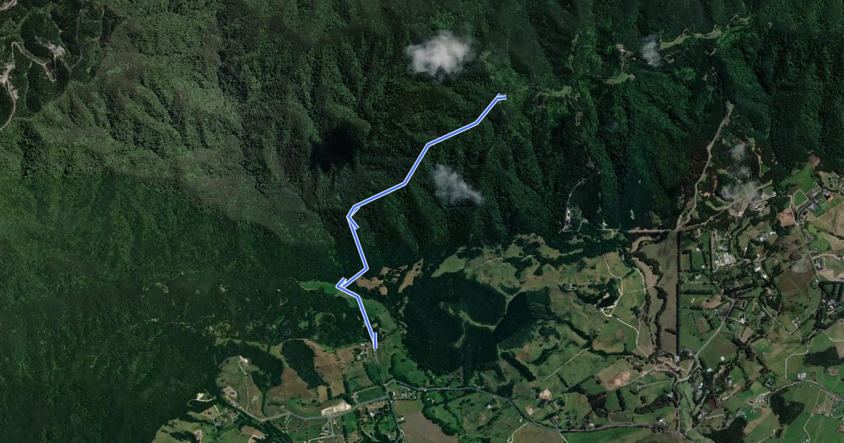 Маршрут Tanekaha Forest Track на спутниковом снимке