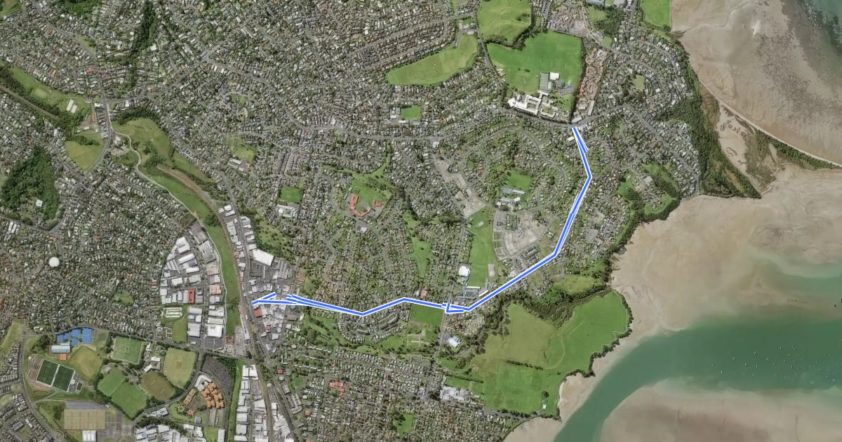 Маршрут Taniwha Street Cycleway на спутниковом снимке