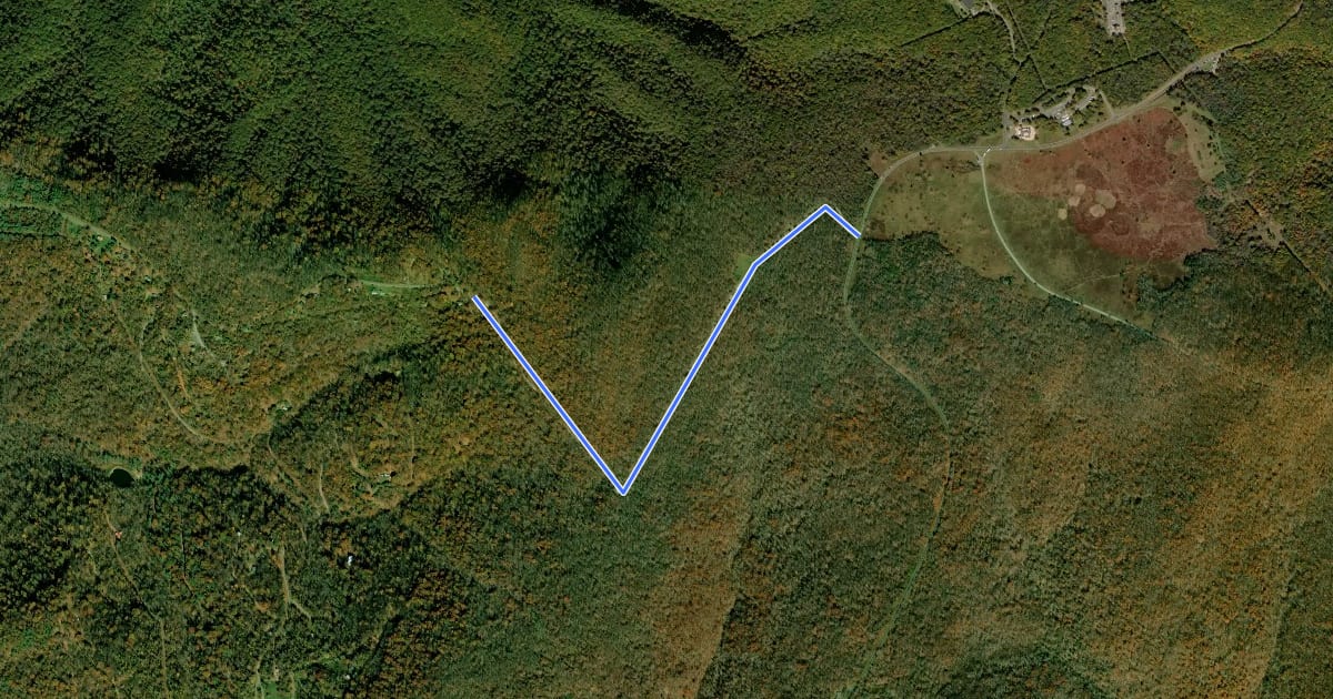 Маршрут Tanners Ridge Road на спутниковом снимке