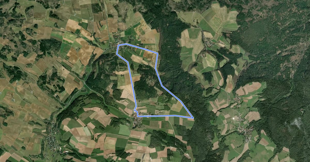 Маршрут Tannfeld Rundweg Schwarzer Ring на спутниковом снимке