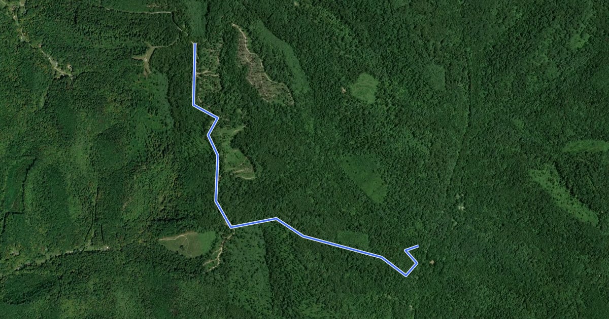 Маршрут Tar Hollow - Lyons Ridge на спутниковом снимке