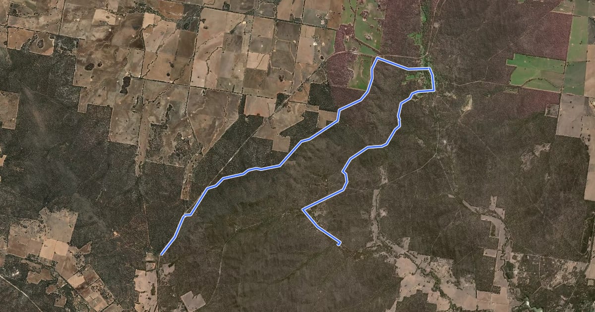 Маршрут Tarnagulla Cycle Track на спутниковом снимке