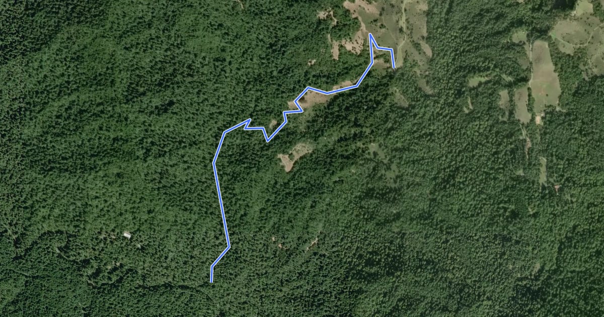 Маршрут Tarwater Trail на спутниковом снимке