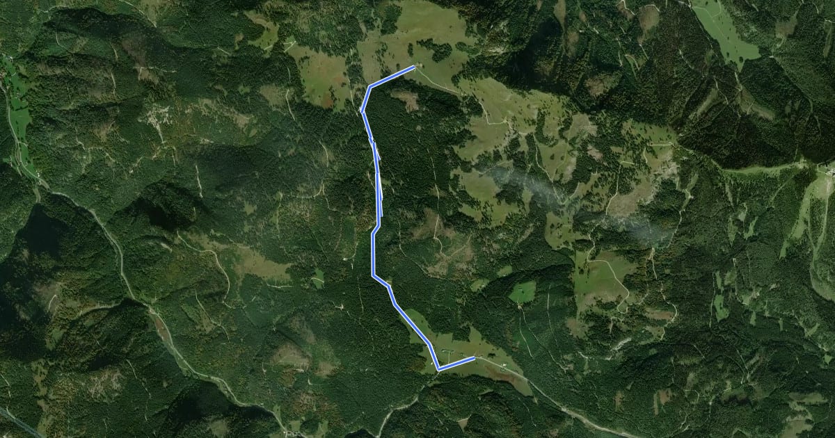 Маршрут Taschelbach-Feldwiesalm на спутниковом снимке