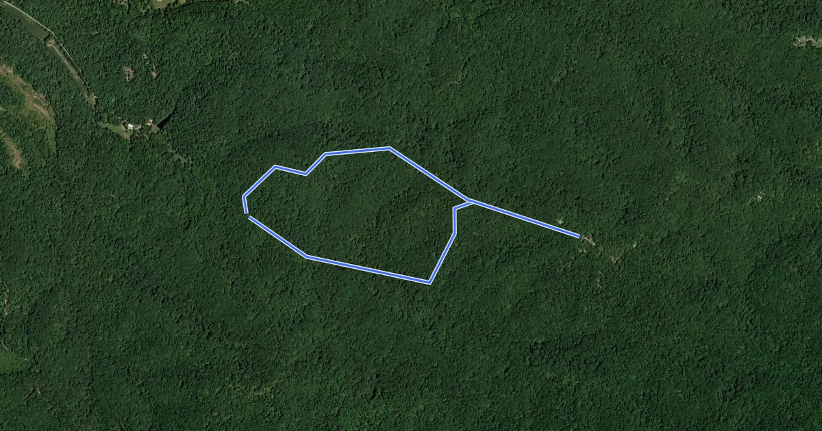 Маршрут Taylor Ridge Trail на спутниковом снимке