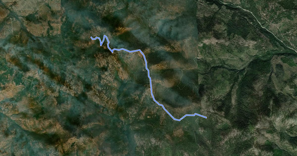 Маршрут Taylor Ridge Trail на спутниковом снимке