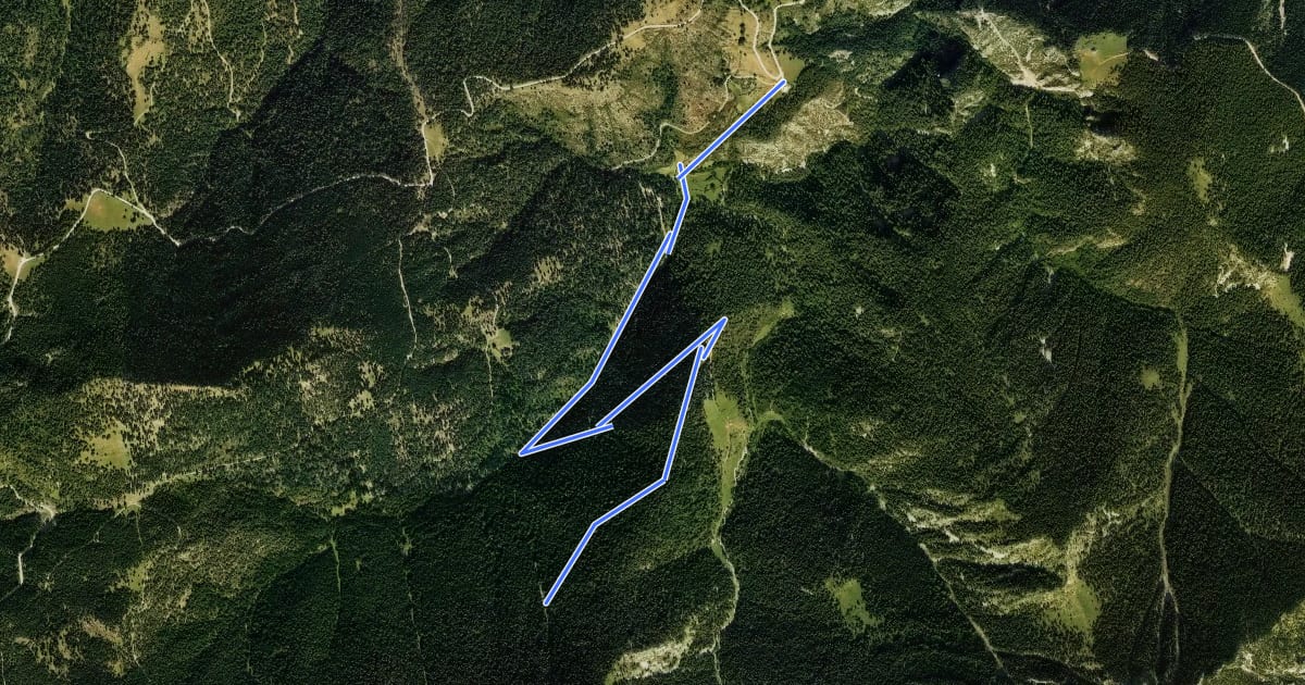 Маршрут TC200 Riu de Cerdanya l'Avetosa на спутниковом снимке