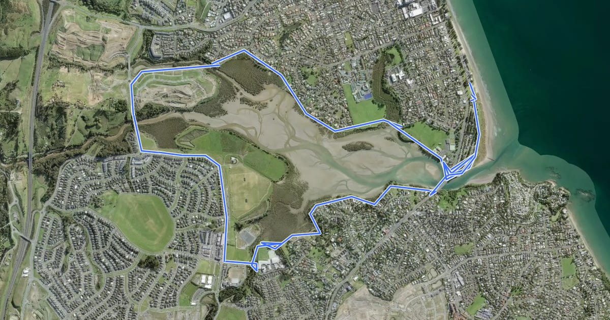 Маршрут Te Ara Tahuna / Ōrewa Estuary Path на спутниковом снимке