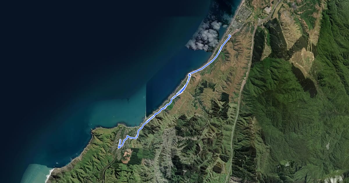 Маршрут Te Araroa alternative route на спутниковом снимке
