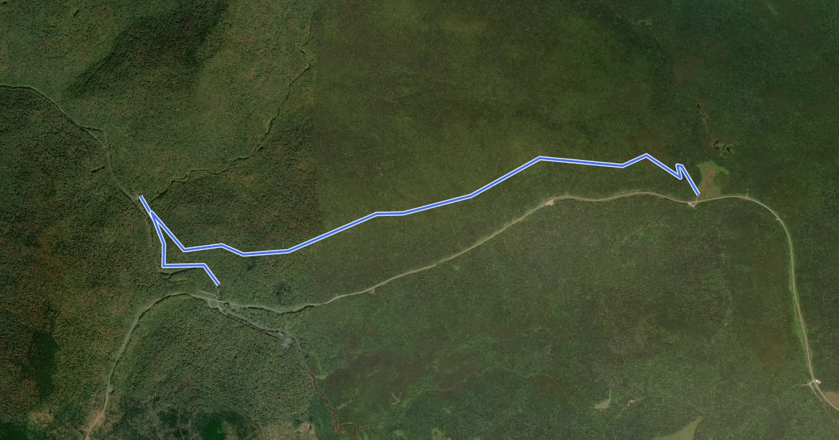 Маршрут Tea Creek Mountain Trail на спутниковом снимке