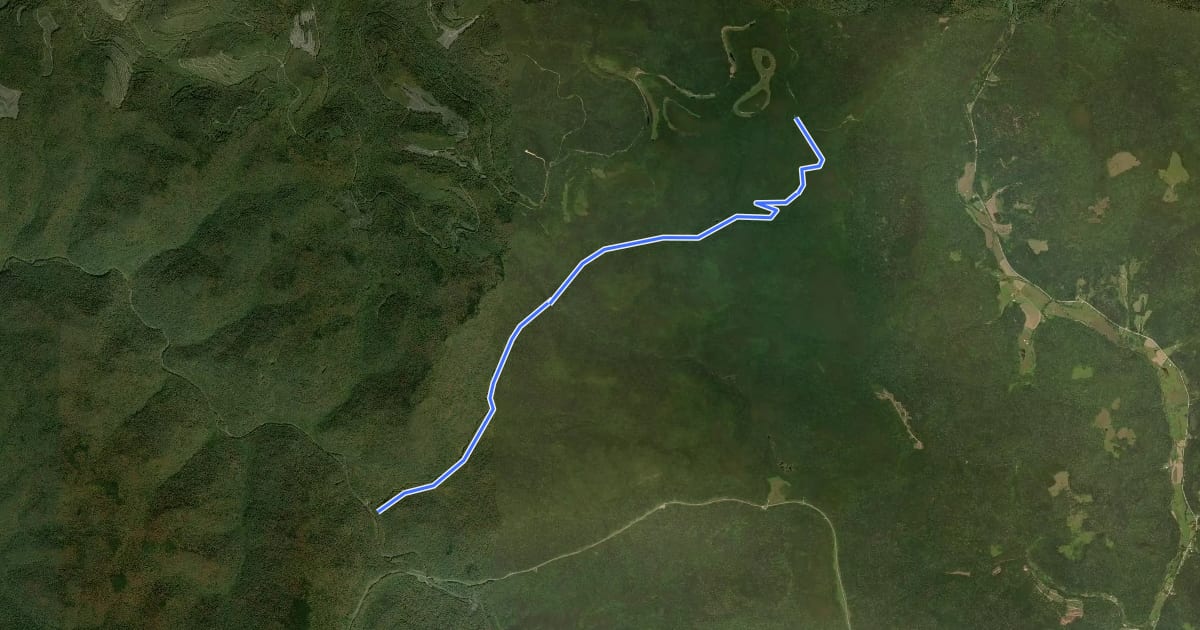 Маршрут Tea Creek Trail на спутниковом снимке