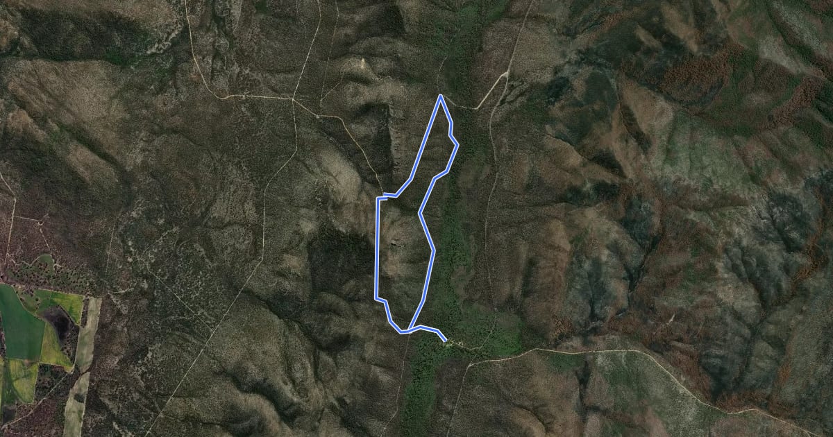 Маршрут Teddy Bear Gap Loop на спутниковом снимке