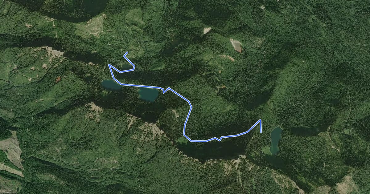 Маршрут Teeley Creek Trail #251 на спутниковом снимке