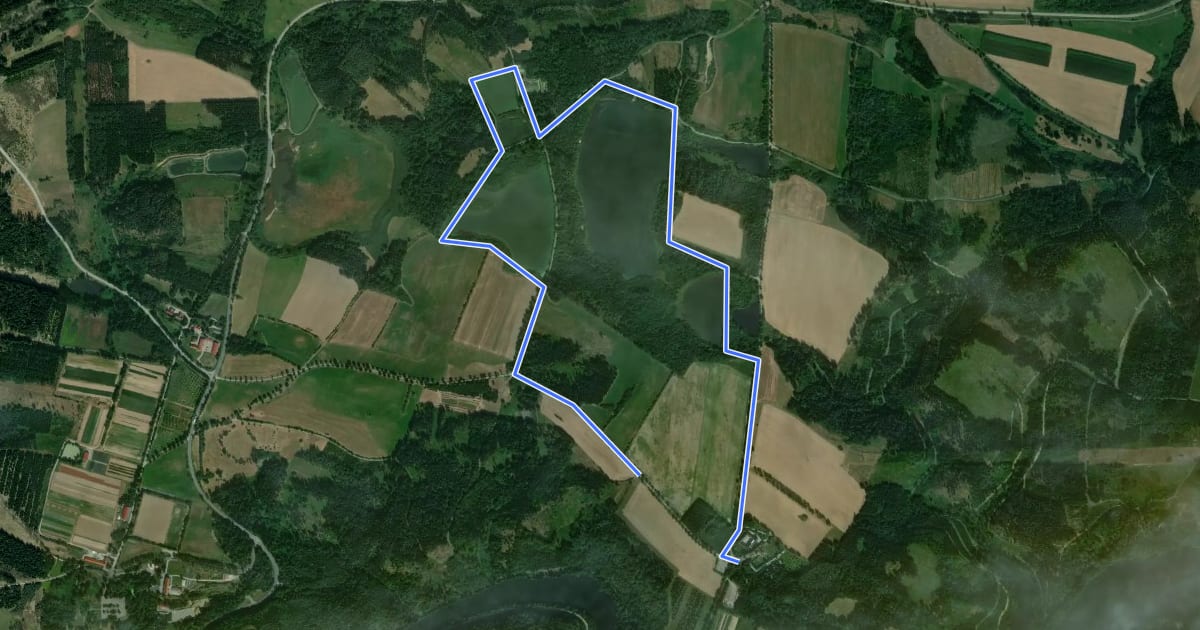 Маршрут Teichwanderweg Nr. 51 на спутниковом снимке
