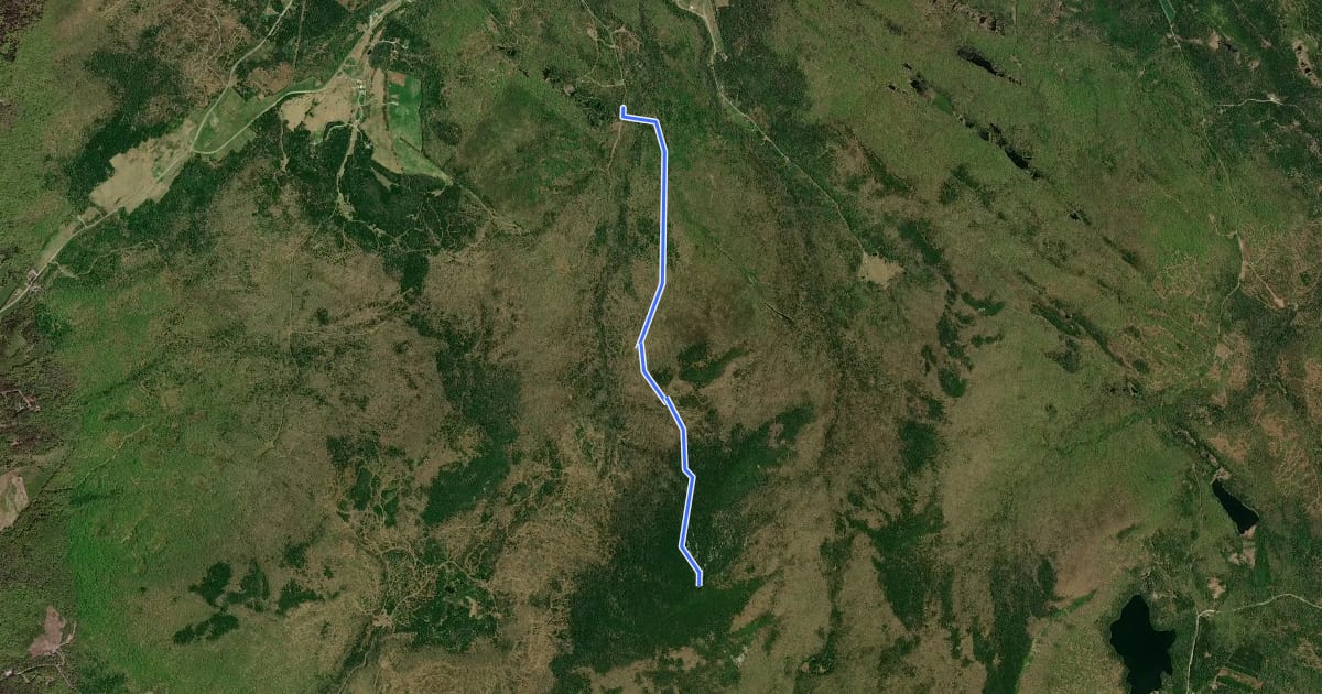 Маршрут Telegraph Trail на спутниковом снимке