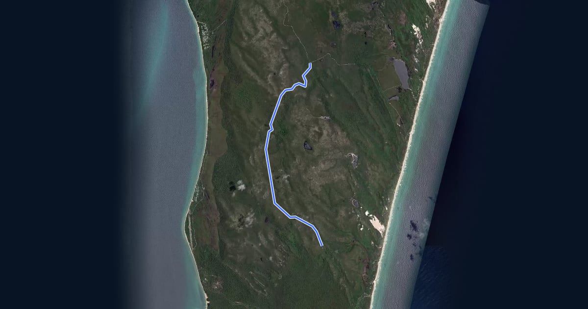 Маршрут Telegraph Walking Track на спутниковом снимке