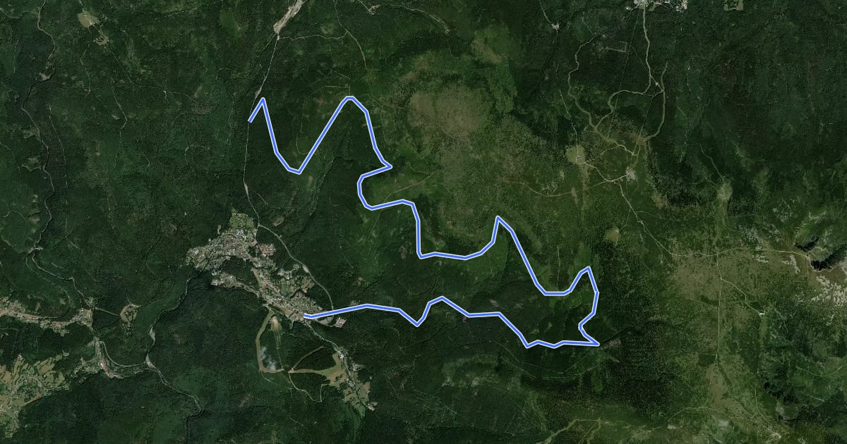 Маршрут Terex - Janouškova cesta (Harrachov-Krakonošova snídaně-Harrachov) на спутниковом снимке