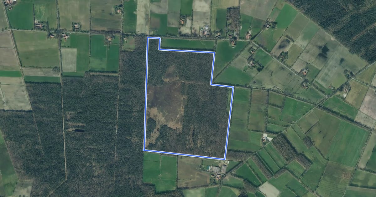 Маршрут TERRA.track Hahlener Moor на спутниковом снимке