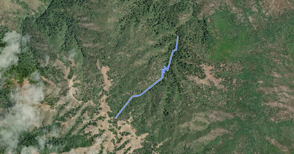 Маршрут Terrace Creek Trail на спутниковом снимке