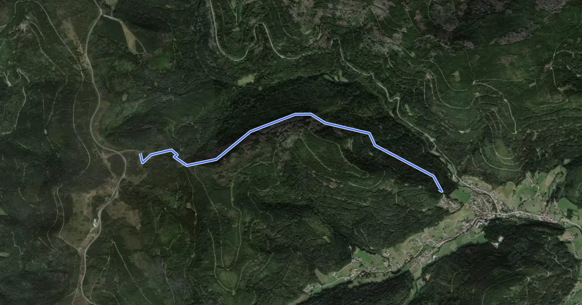 Маршрут Terrainkurweg на спутниковом снимке