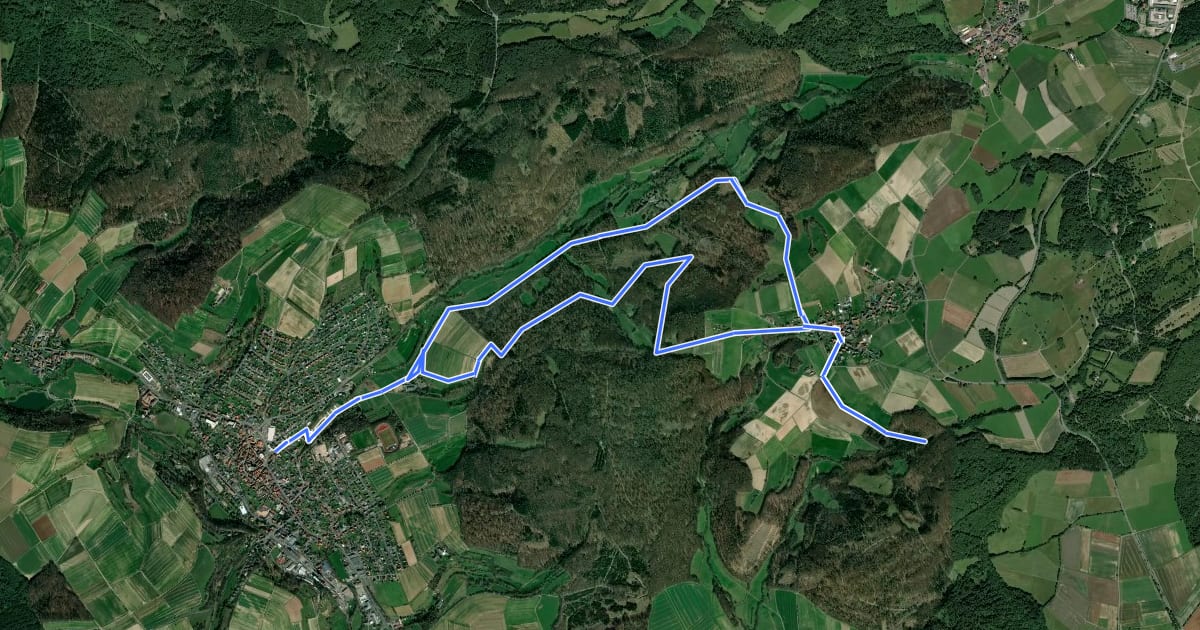 Маршрут Terrainkurweg 6 Neukirchen на спутниковом снимке