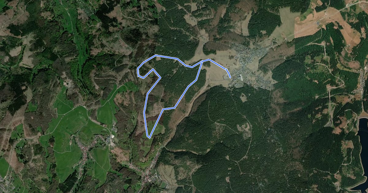 Маршрут Terrainkurweg Masserberg - Fehrenbacher Schweiz (TKW 9) на спутниковом снимке
