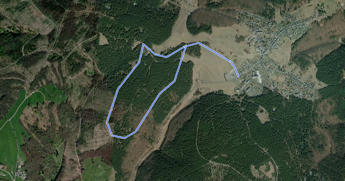 Маршрут Terrainkurweg Masserberg - Fehrenberg (TKW 3) на спутниковом снимке
