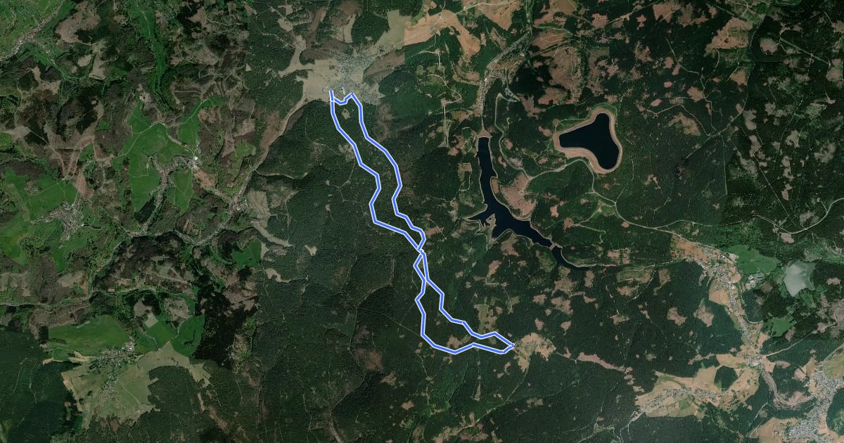 Маршрут Terrainkurweg Masserberg - Friedrichshöhe (TKW 10) на спутниковом снимке