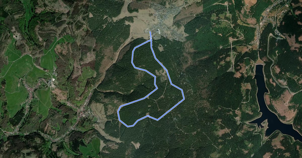 Маршрут Terrainkurweg Masserberg - Sommerberg/Dreiherrenstein (TKW 4) на спутниковом снимке