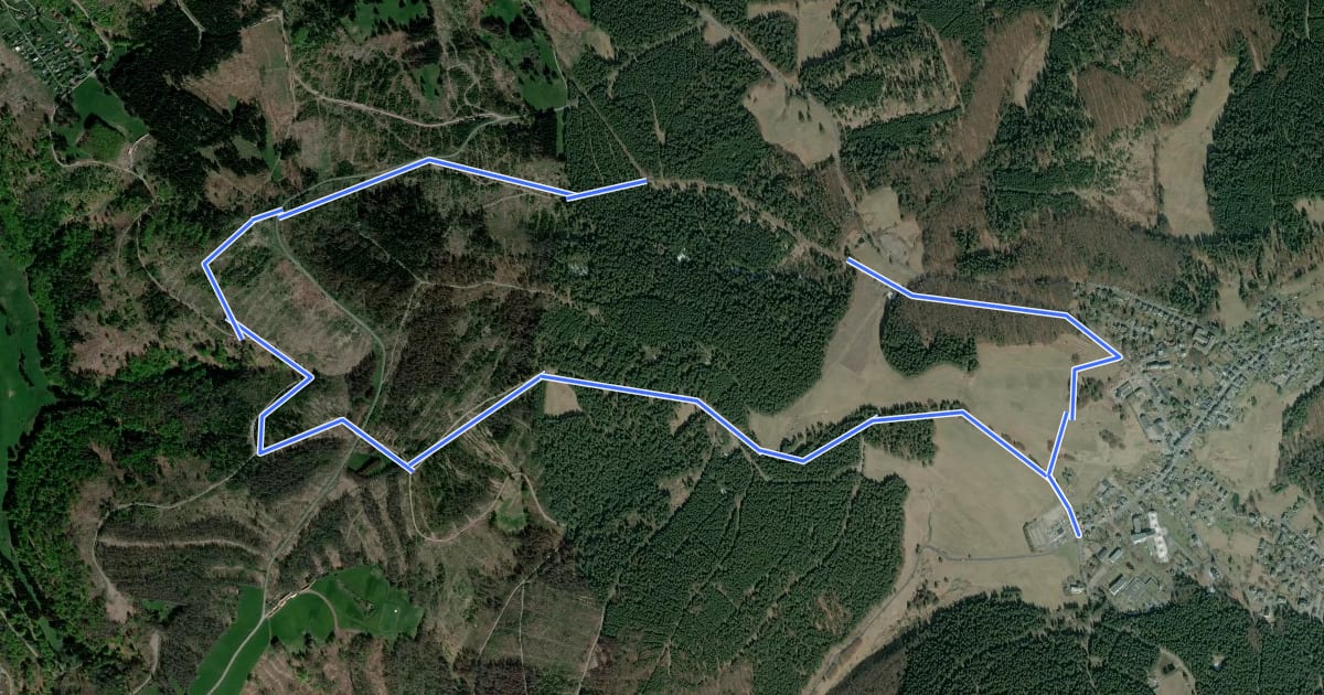 Маршрут Terrainkurweg Masserberg - Zum Dachsbachgrund (TKW 11) на спутниковом снимке