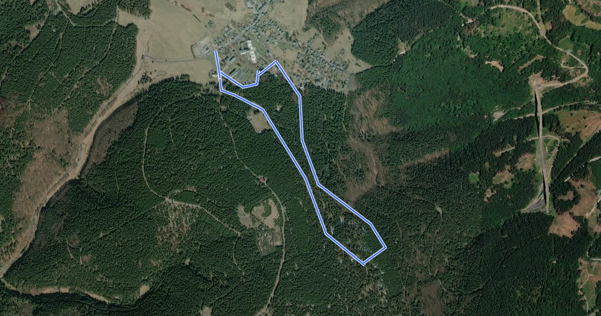Маршрут Terrainkurweg Masserberg - Zum Todtenkopf (TKW 1) на спутниковом снимке