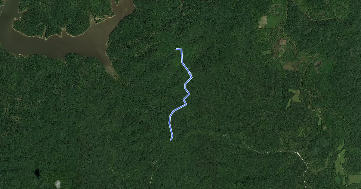 Маршрут Terrill Ridge Trail на спутниковом снимке