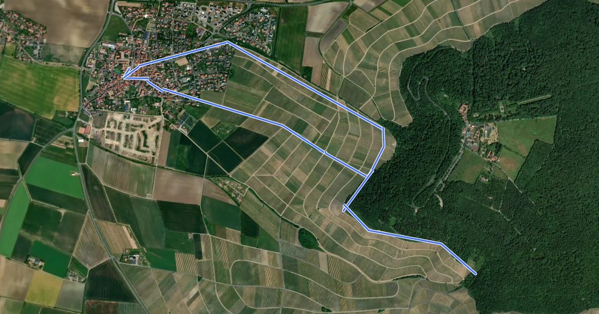 Маршрут terroir f Spazierweg на спутниковом снимке