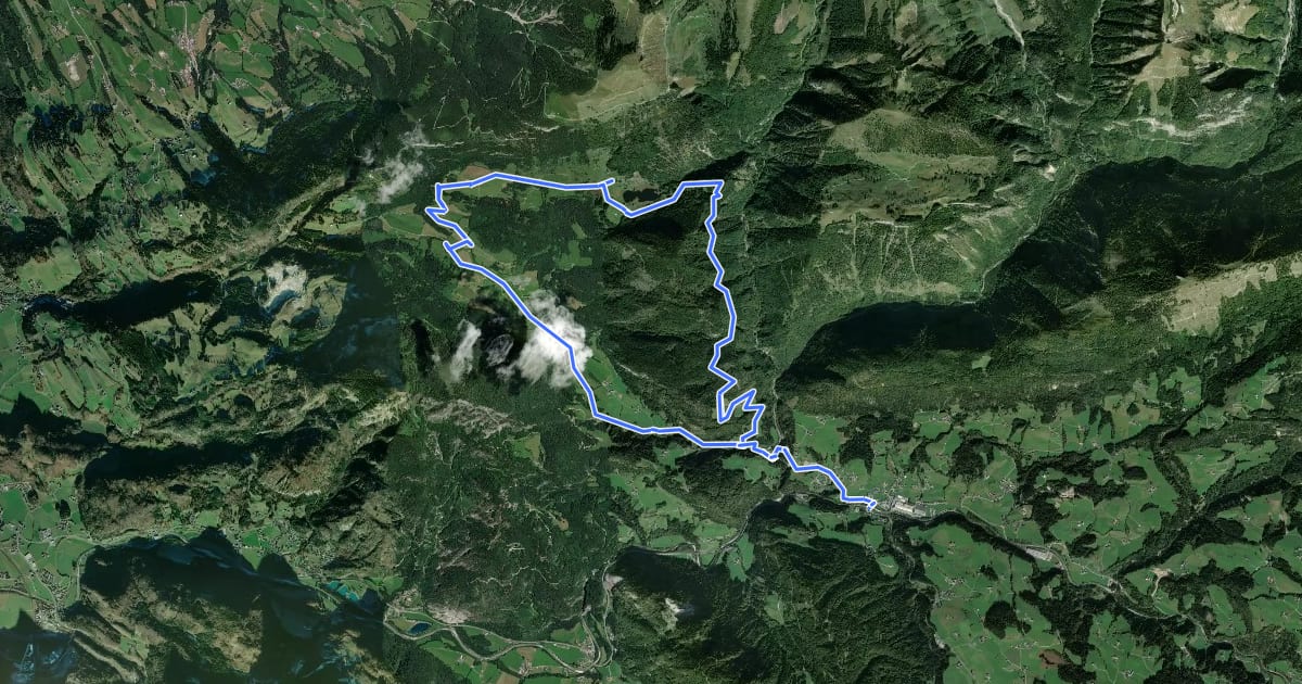 Маршрут TG17 Seewaldsee-Runde на спутниковом снимке