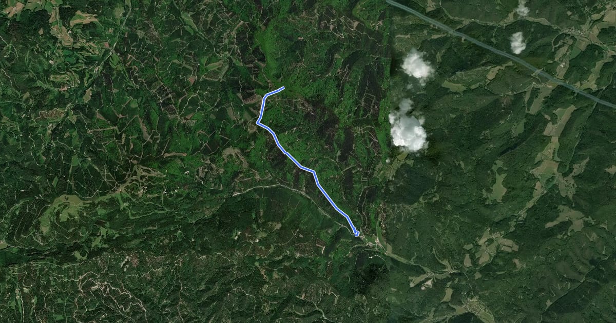 Маршрут Thal - Kieneck (Enzianhütte) на спутниковом снимке