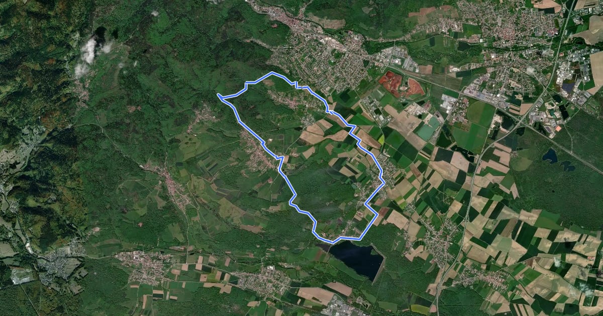 Маршрут Thann-Lac de Michelbach на спутниковом снимке