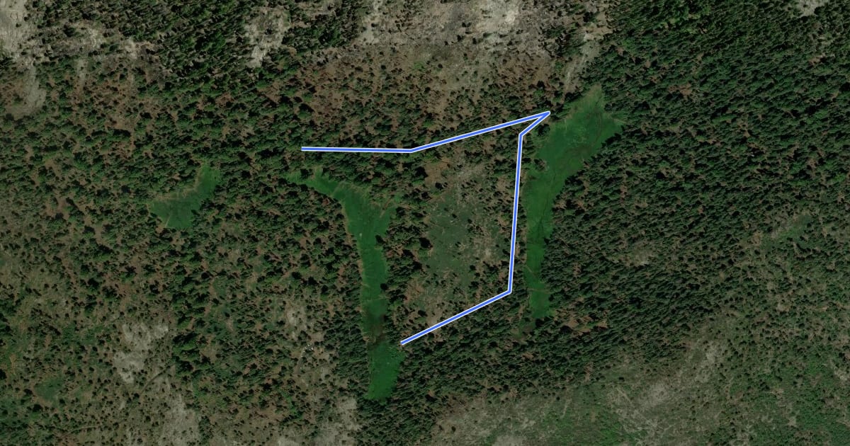Маршрут Tharp's Log Trail на спутниковом снимке