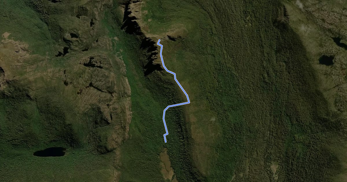 Маршрут The Acropolis Track на спутниковом снимке