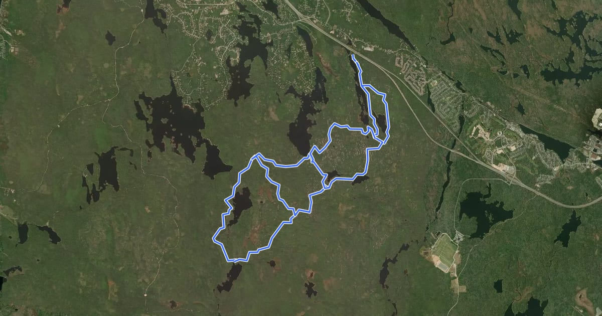 Маршрут The Bluff Wilderness Hiking Trail на спутниковом снимке