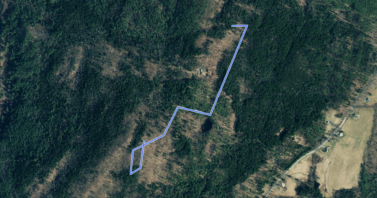 Маршрут The Glebe Trail на спутниковом снимке