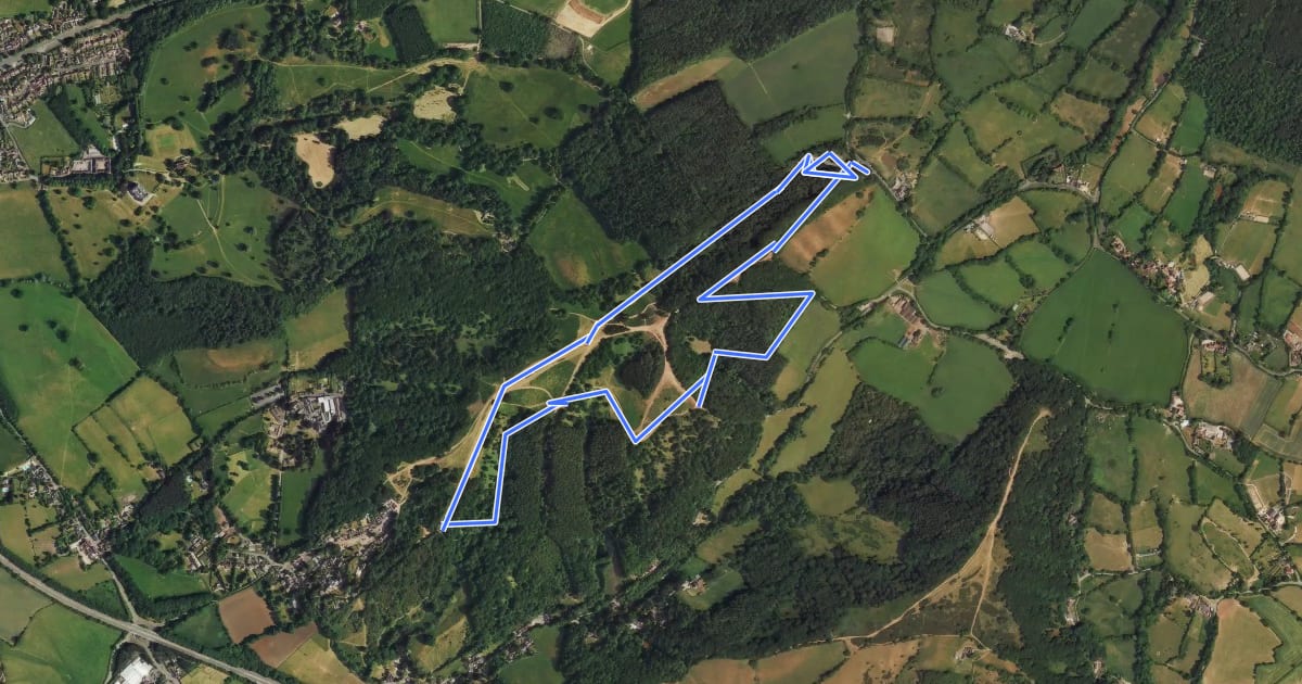 Маршрут The Rabbit Trail, Clent Hills на спутниковом снимке