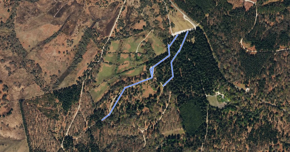 Маршрут The Radnor Trail на спутниковом снимке