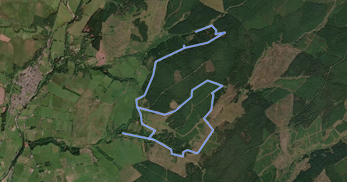 Маршрут The Red Route на спутниковом снимке