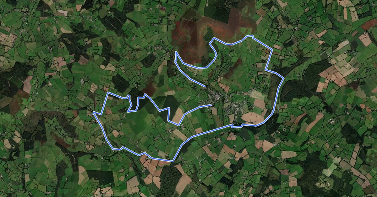 Маршрут The Tinahely Loop на спутниковом снимке
