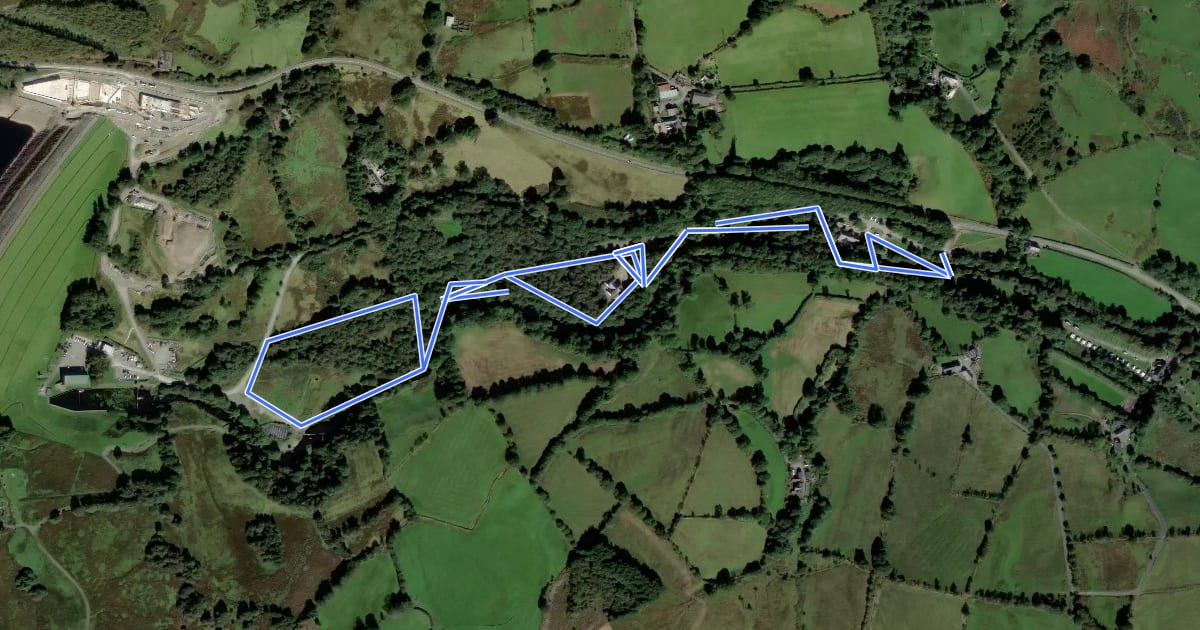 Маршрут The Tryweryn Trail на спутниковом снимке