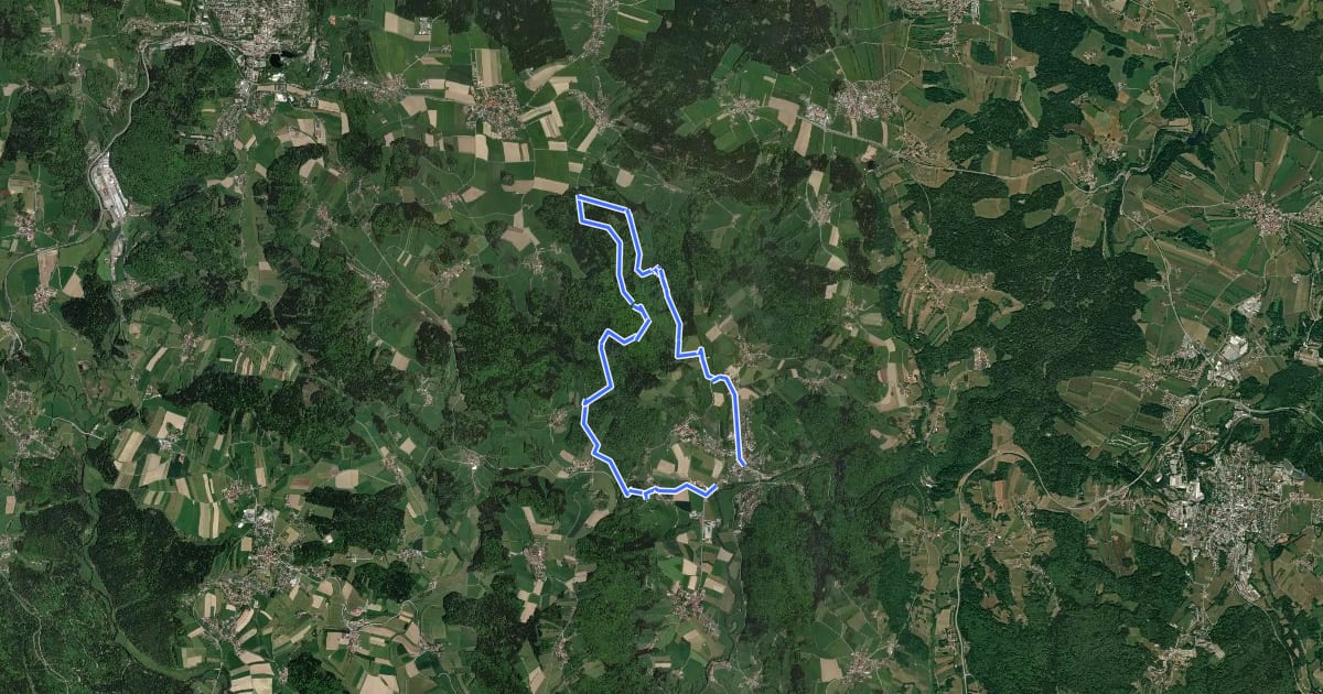 Маршрут Themenwanderweg-Ringelai на спутниковом снимке