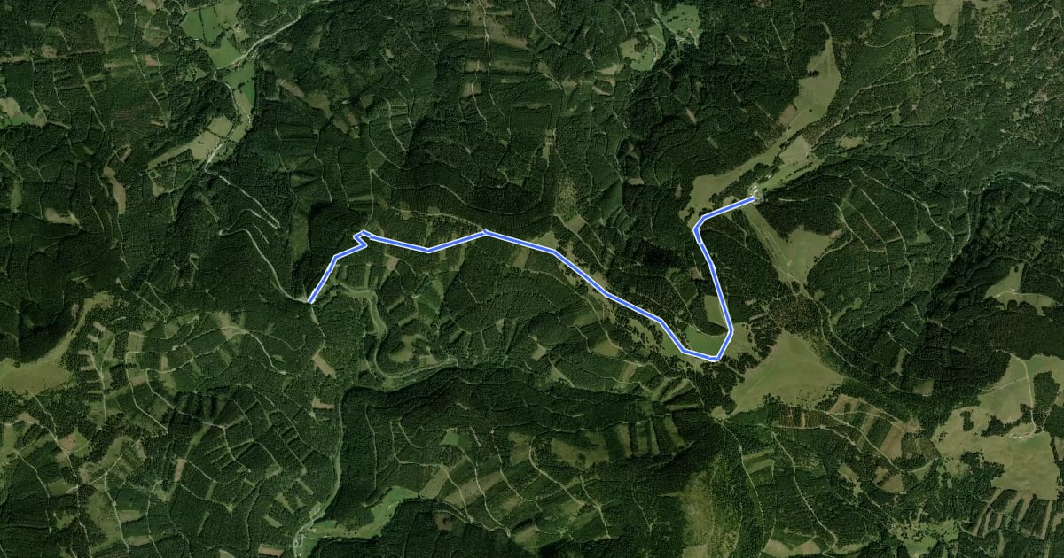 Маршрут Themenweg Forst und Jagd на спутниковом снимке