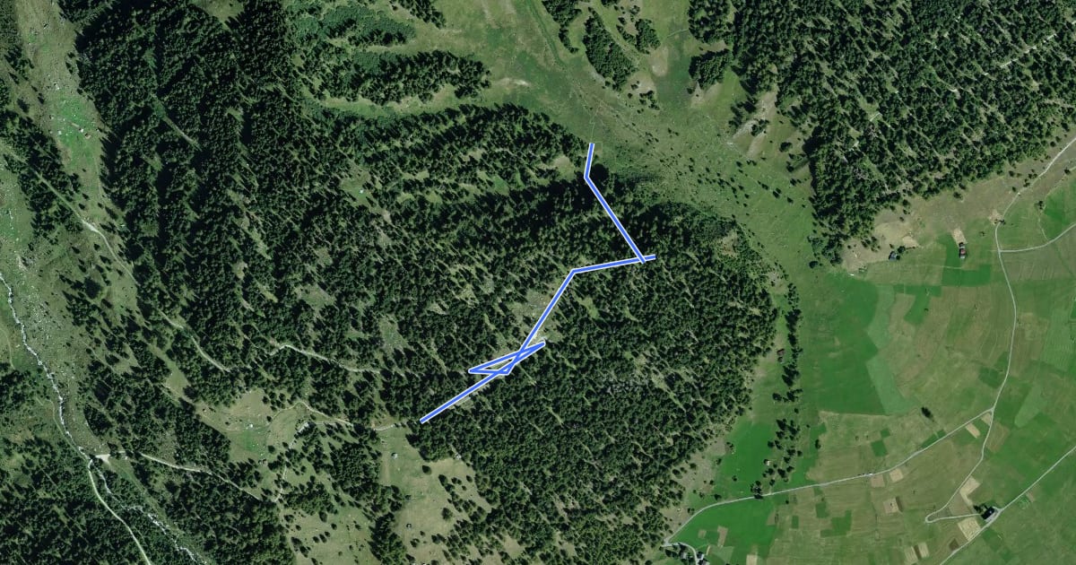 Маршрут Themenweg Schutzwald на спутниковом снимке